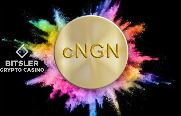 尼日利亞推出 cNGN 穩定幣，正式加入加密貨幣交易