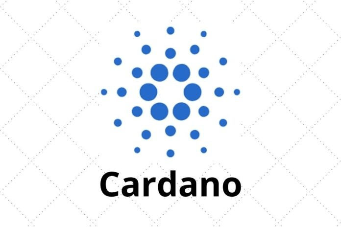 穀歌巴德預測 卡爾達諾價格 20萬美元ADA走勢分析多元化基本麵分析