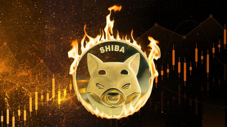 Shiba Inu (SHIB)燃燒量激增1638%！ Shiba Inu團隊持續努力燃燒SHIB代