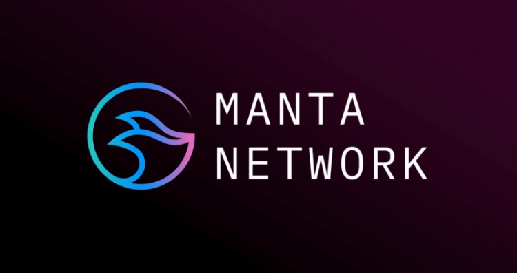Manta Network遭遇DDoS攻擊事件震驚