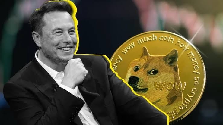 Elon Musk's Dogecoin Ownership: Shocking Detail Re