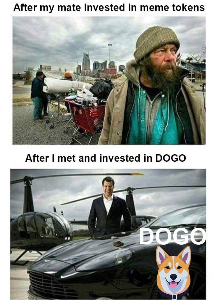 DOGO $DOGO 投資- 50-100x 目標，耐心 DYOR。時間到，正確投資，DOGO 成為