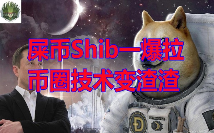Shiba Inu Coin (SHIB) Soars in the Cryptocurrency
