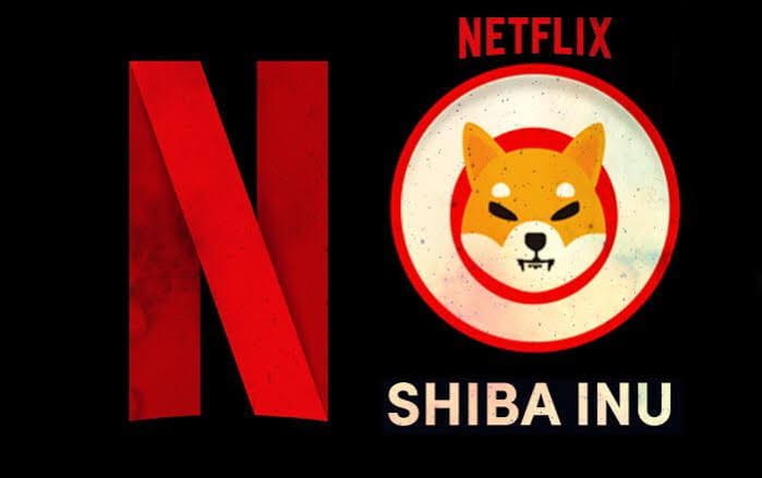 Shiba Inu 與 CDSA 合作改變娛樂產業安全