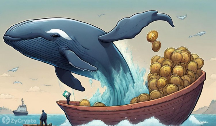 比特幣鯨魚從交易所轉移創紀錄的 23 億美元，Coinbase 引領 BTC 流出